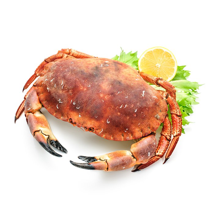 crabe